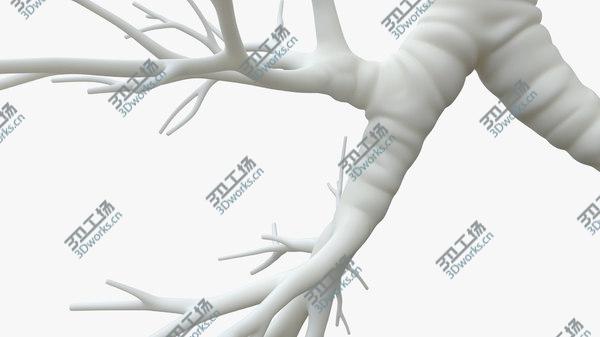 images/goods_img/20210312/Trachea for 3D printing model/5.jpg
